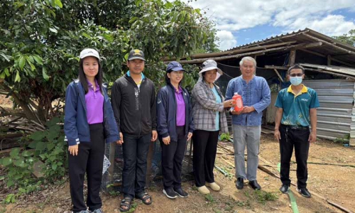 โครงการพัฒนาเกษตรกรรมยั่งยืน กิจกรรมส่งเสริมเกษตรทฤษฎีใหม่