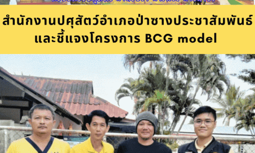 สำนักงานปศุสัตว์อำเภอป่าซางประชาสัมพันธ์และชี้แจงโครงการ BCG model 