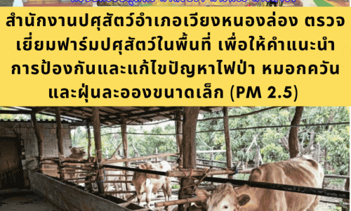 สำนักงานปศุสัตว์อำเภอเวียงหนองล่อง ตรวจเยี่ยมฟาร์มปศุสัตว์ในพื้นที่ เพื่อให้คำแนะนำ การป้องกันและแก้ไขปัญหาไฟป่า หมอกควัน และฝุ่นละอองขนาดเล็ก (PM 2.5) 