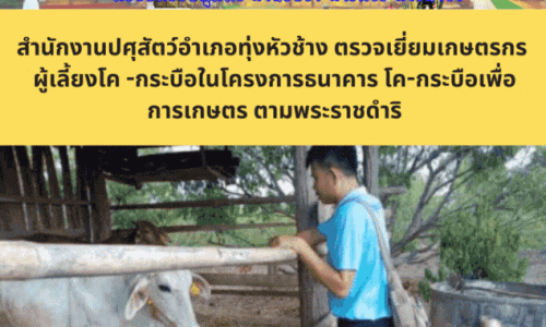 สำนักงานปศุสัตว์อำเภอทุ่งหัวช้าง ตรวจเยี่ยมเกษตรกร ผู้เลี้ยงโค -กระบือในโครงการธนาคาร โค-กระบือเพื่อการเกษตร ตามพระราชดำริ