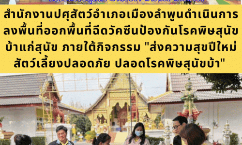 สำนักงานปศุสัตว์อําเภอเมืองลำพูนดำเนินการลงพื้นที่ออกพื้นที่ฉีดวัคซีนป้องกันโรคพิษสุนัขบ้าแก่สุนัข ภายใต้กิจกรรม "ส่งความสุขปีใหม่ สัตว์เลี้ยงปลอดภัย ปลอดโรคพิษสุนัขบ้า"