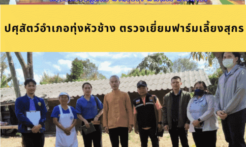 ปศุสัตว์อำเภอทุ่งหัวช้าง  ตรวจเยี่ยมฟาร์มเลี้ยงสุกร